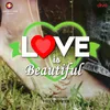 About Love is Beautiful Song